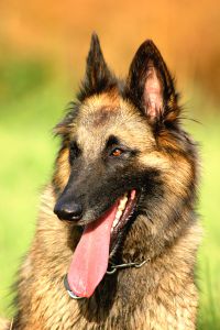 Akash of Brenmar‘s Vision