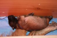 jour 5 - 8 avril 2012