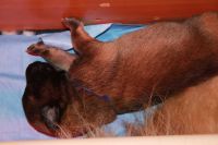 jour 5 - 8 avril 2012