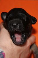 jour 7 - 10 avril 2012