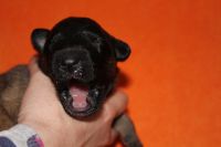 jour 7 - 10 avril 2012