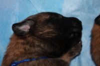 jour 11 - 14 avril 2012