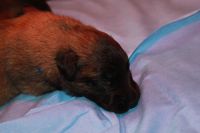 jour 11 - 14 avril 2012