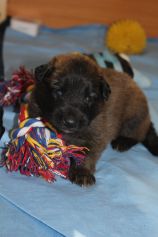 jour 14 - 17 avril 2012