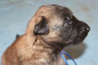 jour 15 - 18 avril 2012