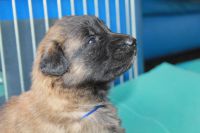 jour 19 - 22 avril 2012