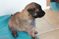 jour 20 - 23 avril 2012