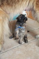 jour 20 - 23 avril 2012