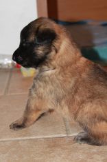 jour 20 - 23 avril 2012