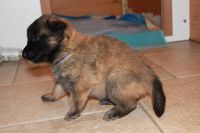 jour 20 - 23 avril 2012