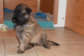 jour 20 - 23 avril 2012