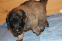 jour 21 - 24 avril 2012