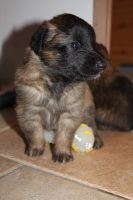 jour 21 - 24 avril 2012