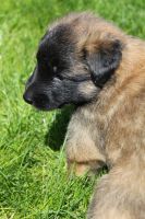 jour 25 - 28 avril 2012