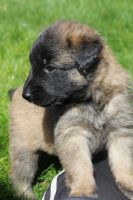 jour 25 - 28 avril 2012