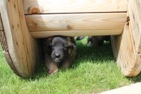 jour 27 - 30 avril 2012