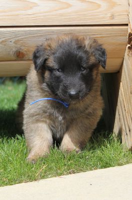 jour 27 - 30 avril 2012