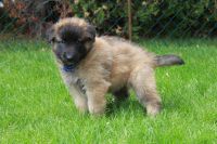 jour 35 - 8 mai 2012