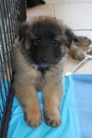 jour 38 - 11 mai 2012