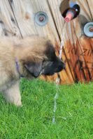 jour 38 - 11 mai 2012