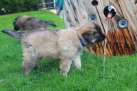 jour 38 - 11 mai 2012