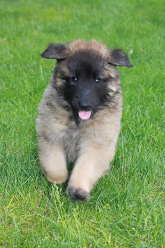 jour 38 - 11 mai 2012