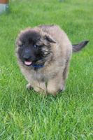 jour 38 - 11 mai 2012