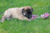 jour 38 - 11 mai 2012