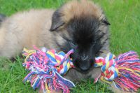 jour 38 - 11 mai 2012