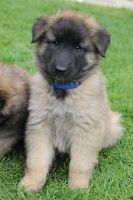 jour 43 - 16 mai 2012