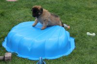 jour 47 - 20 mai 2012