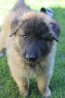 jour 49 - 22 mai 2012