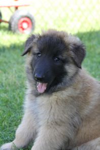 jour 49 - 22 mai 2012