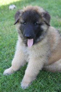 jour 49 - 22 mai 2012