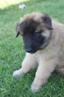 jour 49 - 22 mai 2012