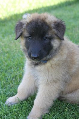 jour 49 - 22 mai 2012