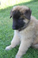 jour 49 - 22 mai 2012