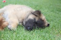 jour 50 - 23 mai 2012