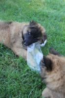 jour 52 - 25 mai 2012