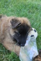 jour 52 - 25 mai 2012