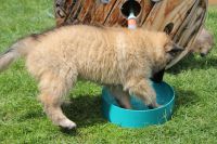 jour 54 - 27 mai 2012