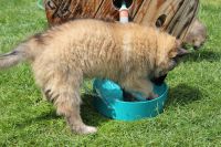 jour 54 - 27 mai 2012