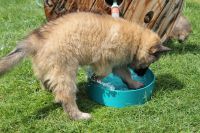 jour 54 - 27 mai 2012