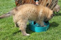 jour 54 - 27 mai 2012