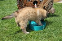 jour 54 - 27 mai 2012