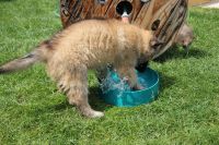 jour 54 - 27 mai 2012