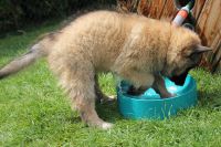 jour 54 - 27 mai 2012