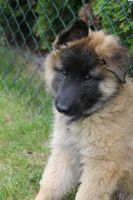 jour 54 - 27 mai 2012