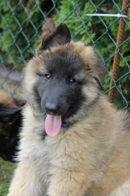 jour 54 - 27 mai 2012