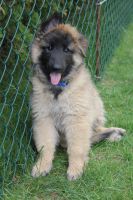 jour 54 - 27 mai 2012